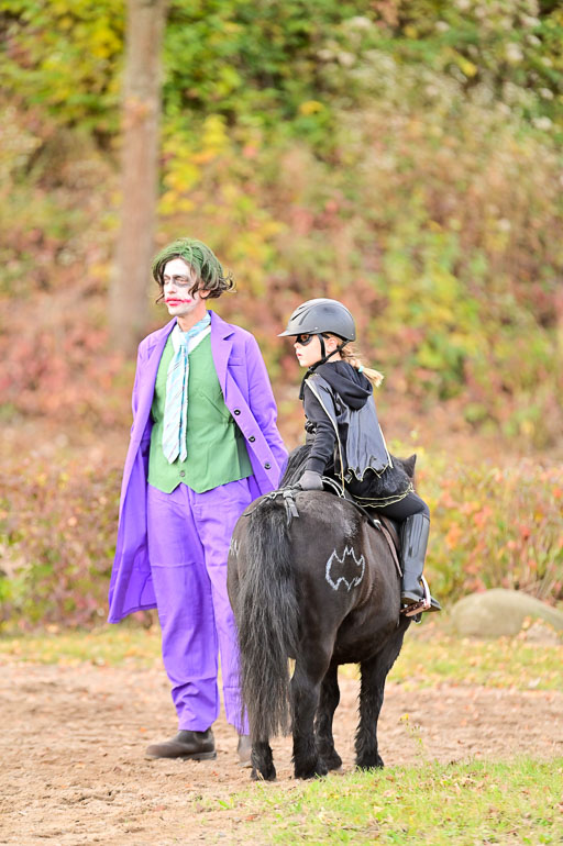  | Führzügel WB _067 