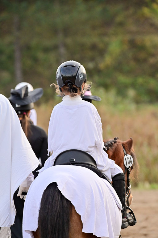  | Führzügel WB _068 