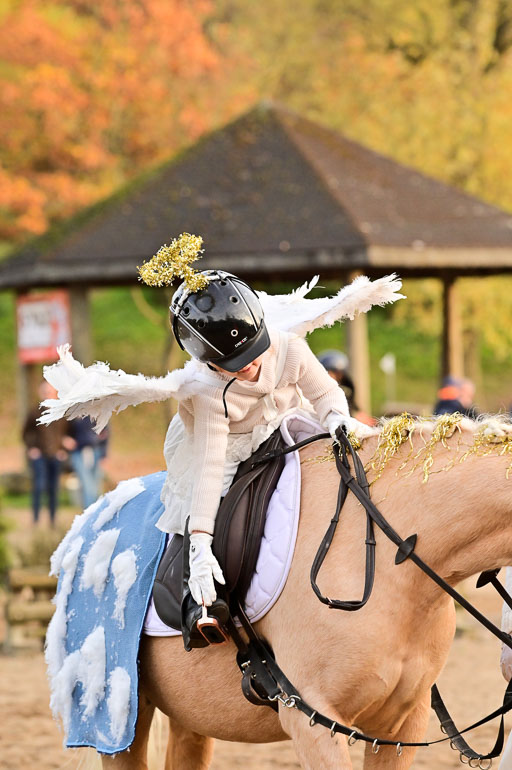  | Führzügel WB _070 