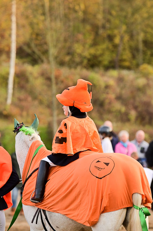  | Führzügel WB _071 