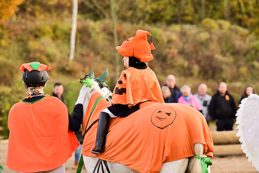  | Führzügel WB _072 