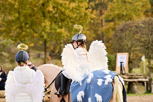  | Führzügel WB _073 