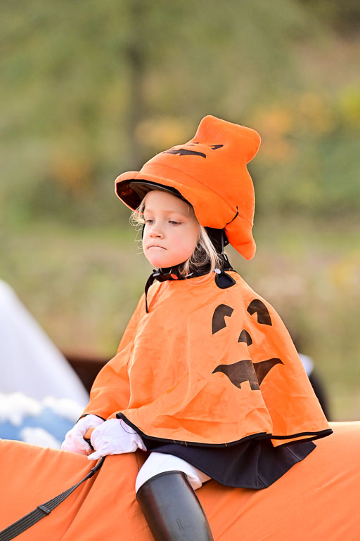  | Führzügel WB _075 