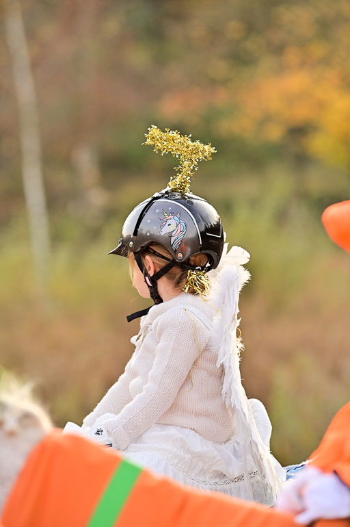  | Führzügel WB _076 