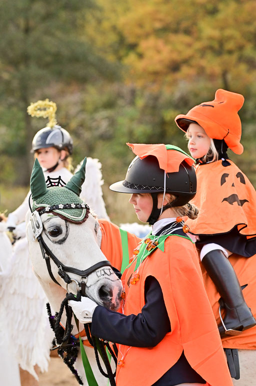  | Führzügel WB _077 