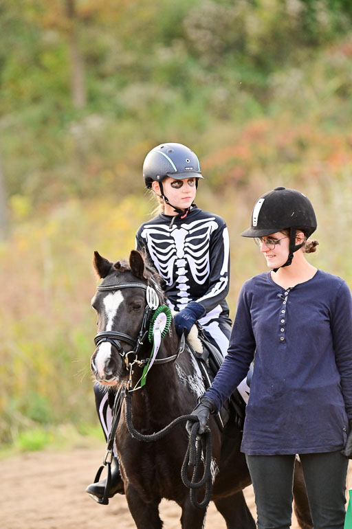  | Führzügel WB _086 