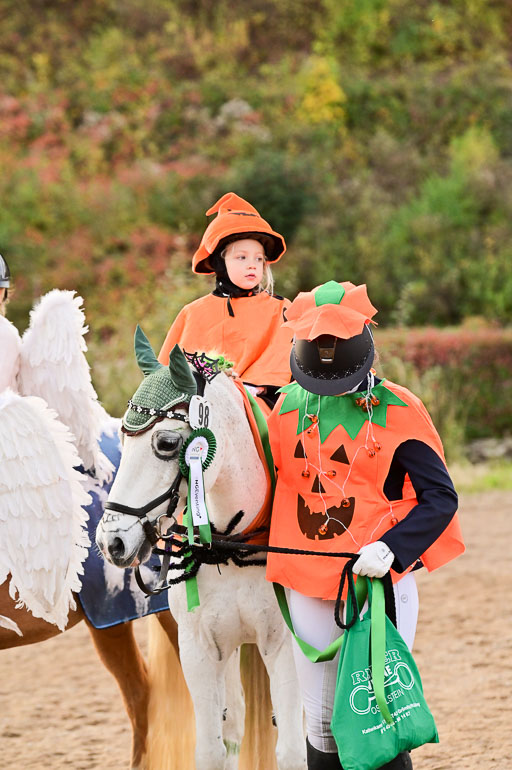  | Führzügel WB _087 