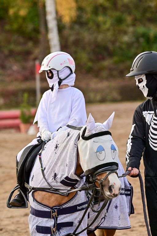  | Führzügel WB _088 