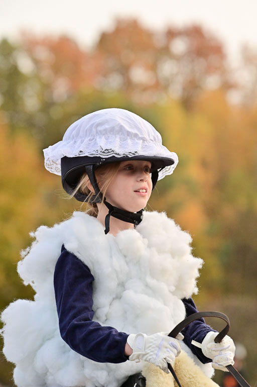  | Führzügel WB _115 