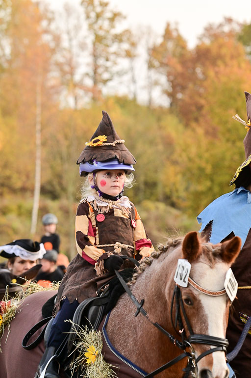  | Führzügel WB _117 