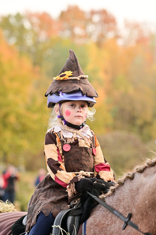  | Führzügel WB _118 