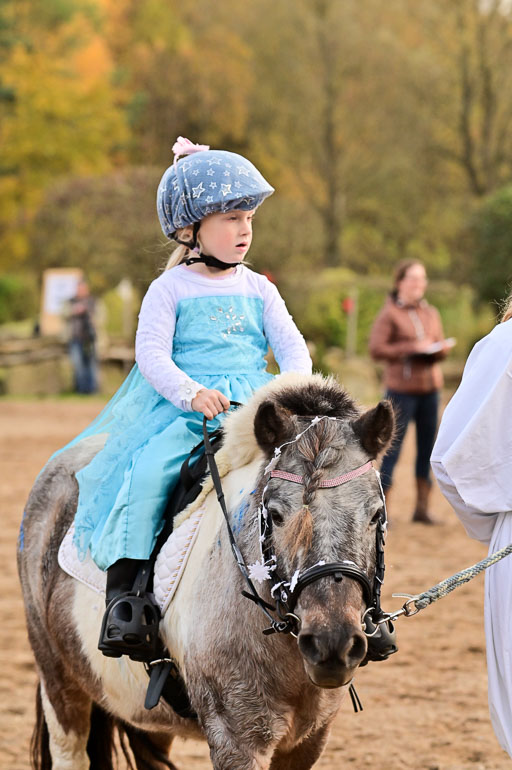  | Führzügel WB _125 