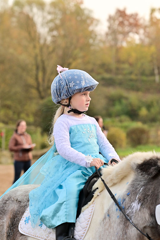  | Führzügel WB _126 