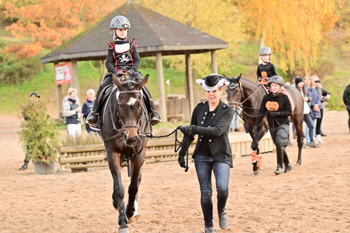  | Führzügel WB _133 