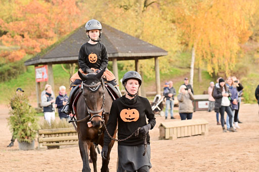  | Führzügel WB _134 