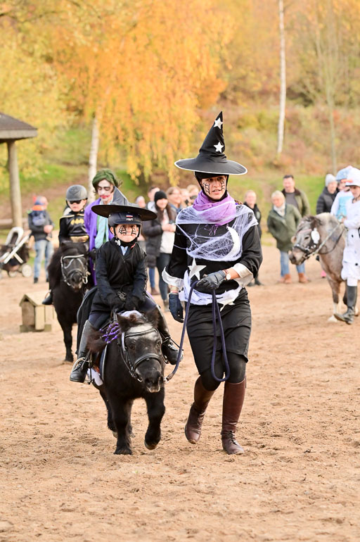  | Führzügel WB _135 