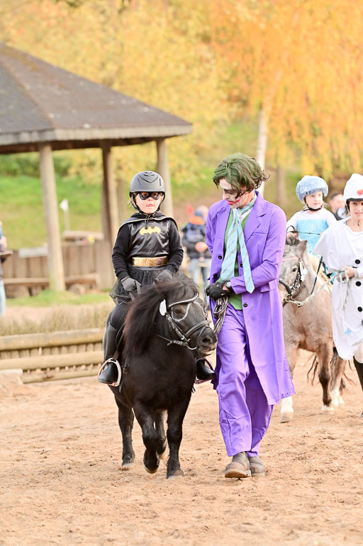  | Führzügel WB _137 