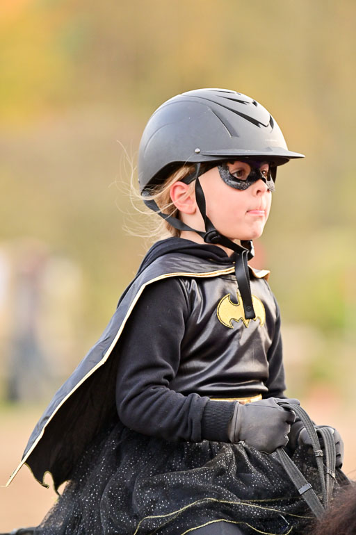  | Führzügel WB _139 