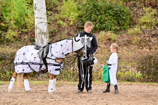  | Führzügel WB _140 