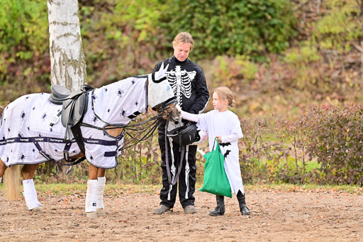  | Führzügel WB _141 