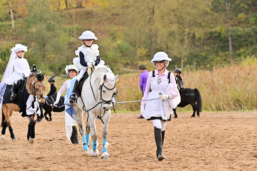  | Führzügel WB _142 