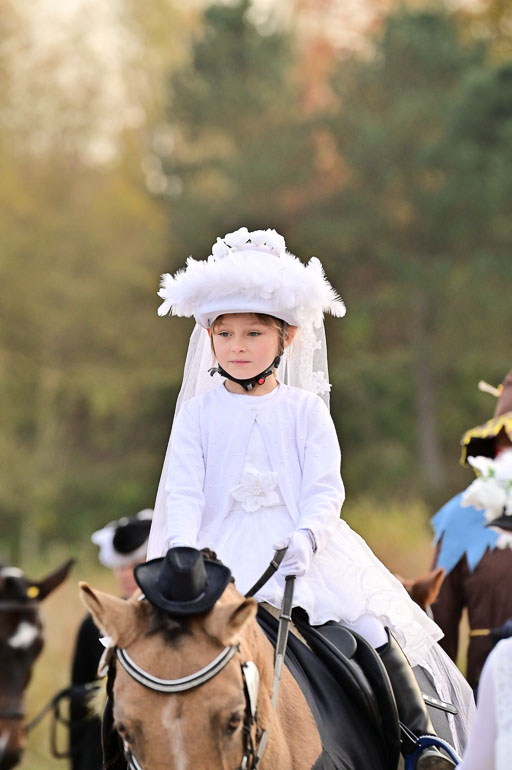  | Führzügel WB _144 