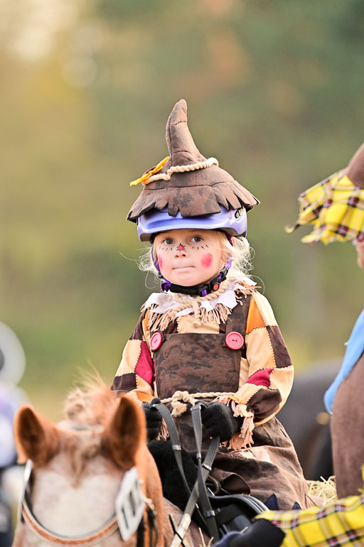  | Führzügel WB _149 