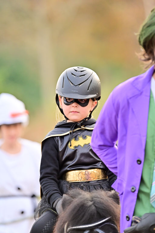  | Führzügel WB _152 