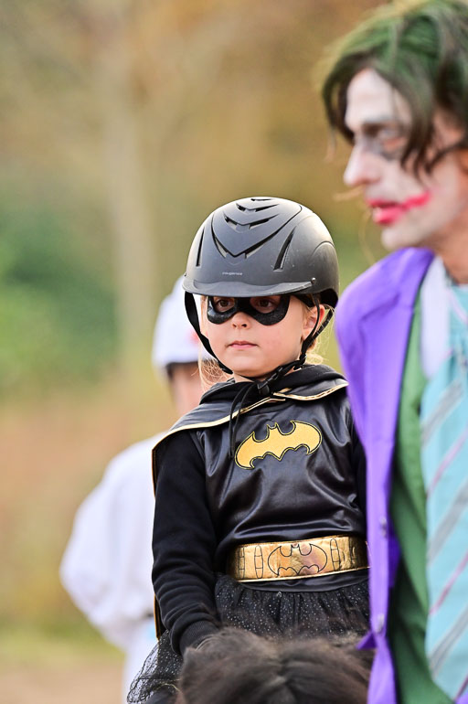  | Führzügel WB _153 