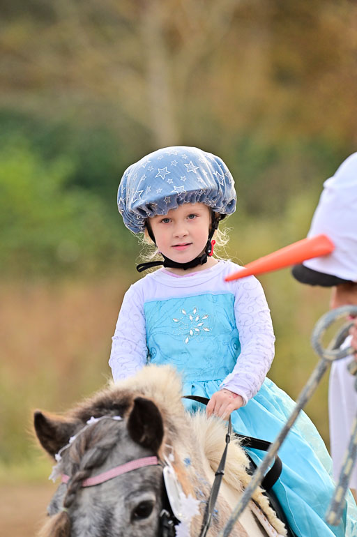  | Führzügel WB _154 