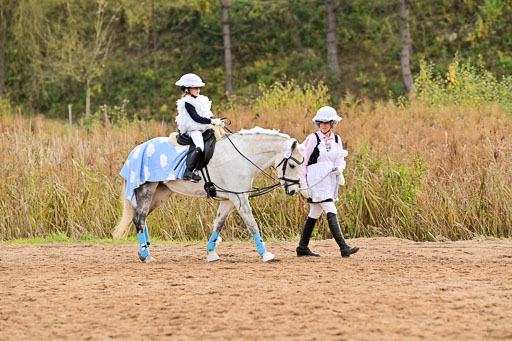  | Führzügel WB _155 