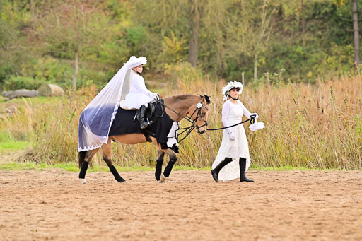  | Führzügel WB _156 