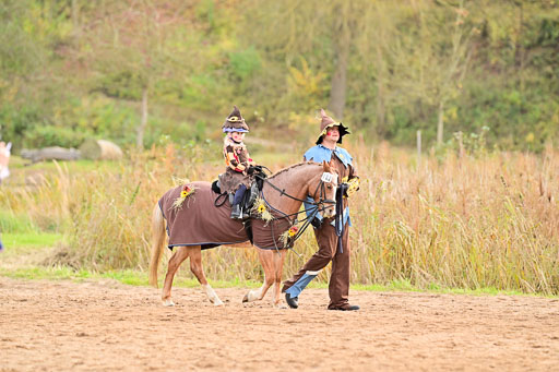  | Führzügel WB _157 