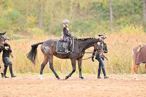  | Führzügel WB _158 