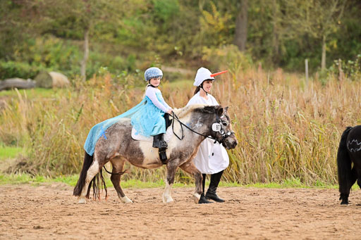  | Führzügel WB _162 