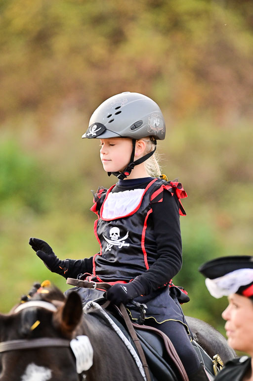  | Führzügel WB _166 