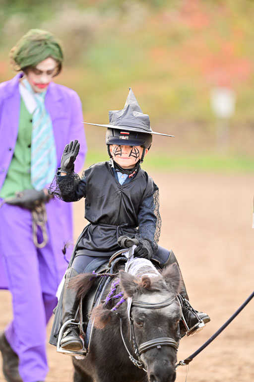  | Führzügel WB _167 