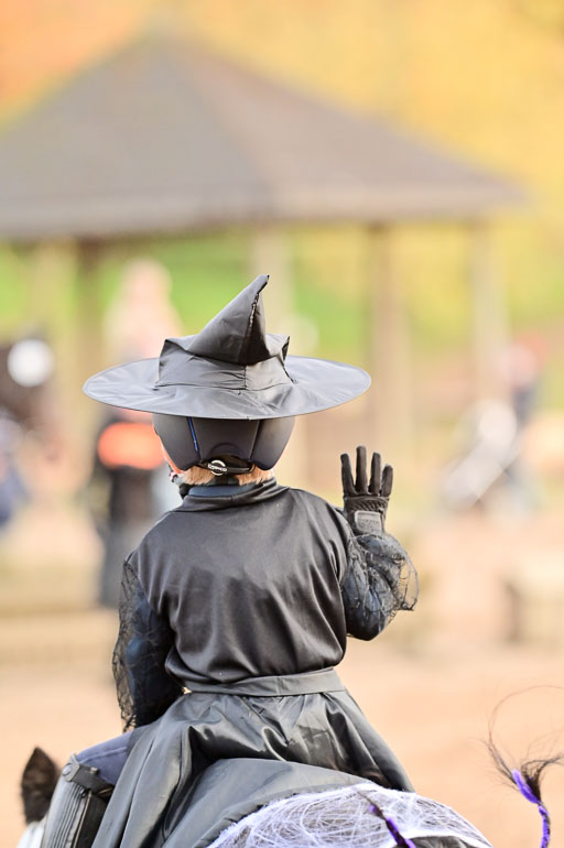  | Führzügel WB _168 