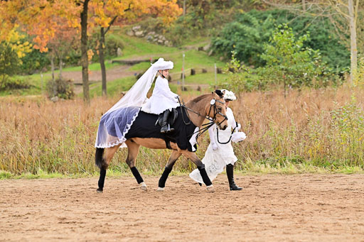  | Führzügel WB _169 