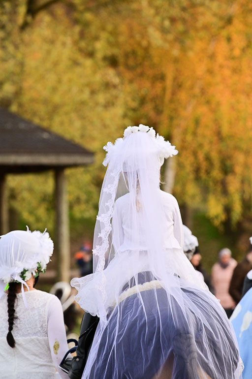  | Führzügel WB _171 