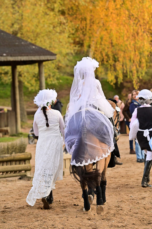  | Führzügel WB _172 