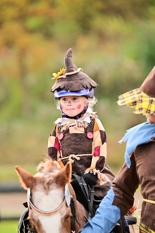  | Führzügel WB _174 