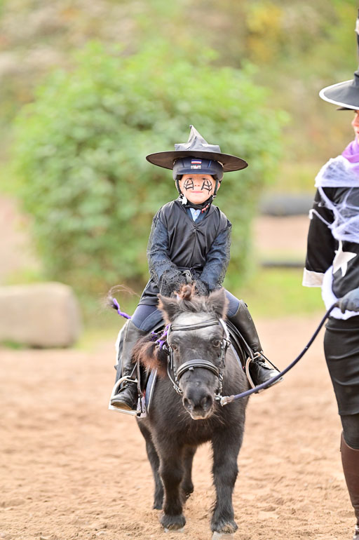  | Führzügel WB _176 