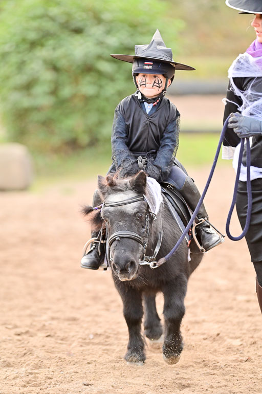  | Führzügel WB _177 