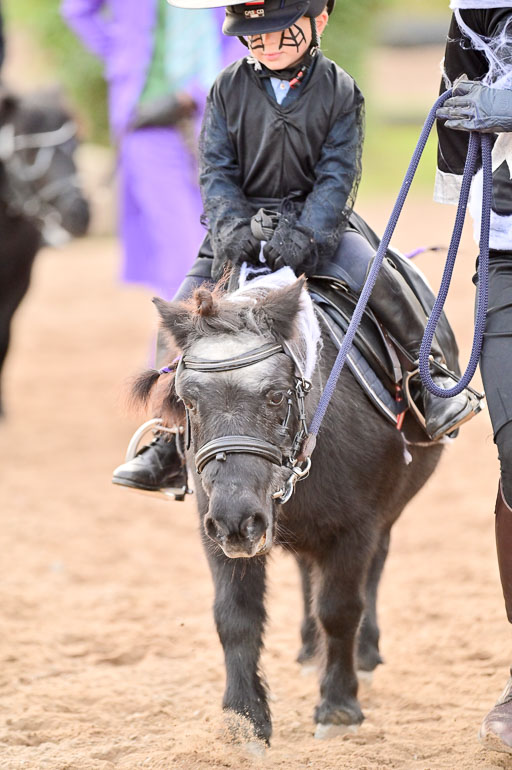  | Führzügel WB _178 