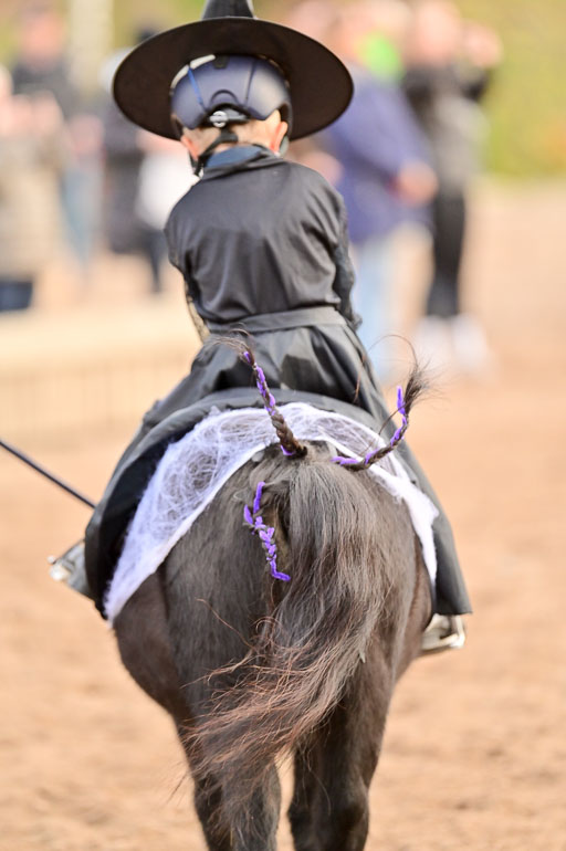  | Führzügel WB _179 