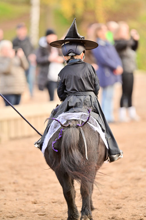  | Führzügel WB _182 