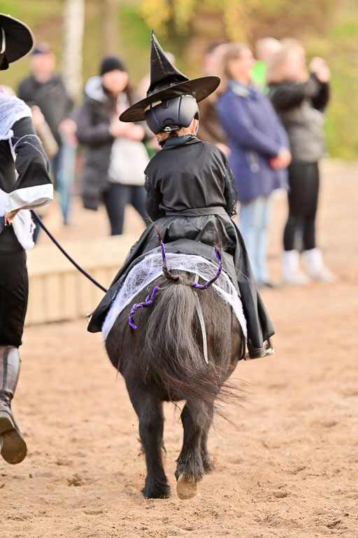  | Führzügel WB _183 