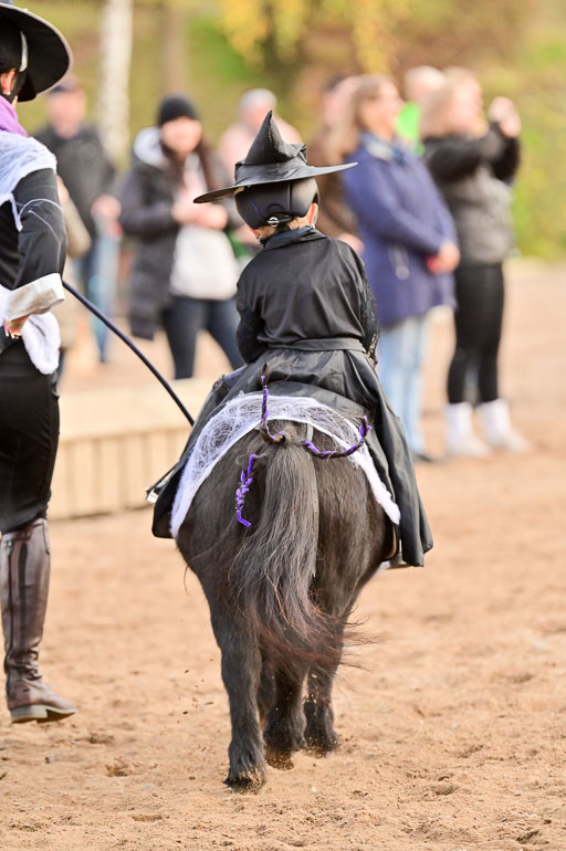  | Führzügel WB _184 