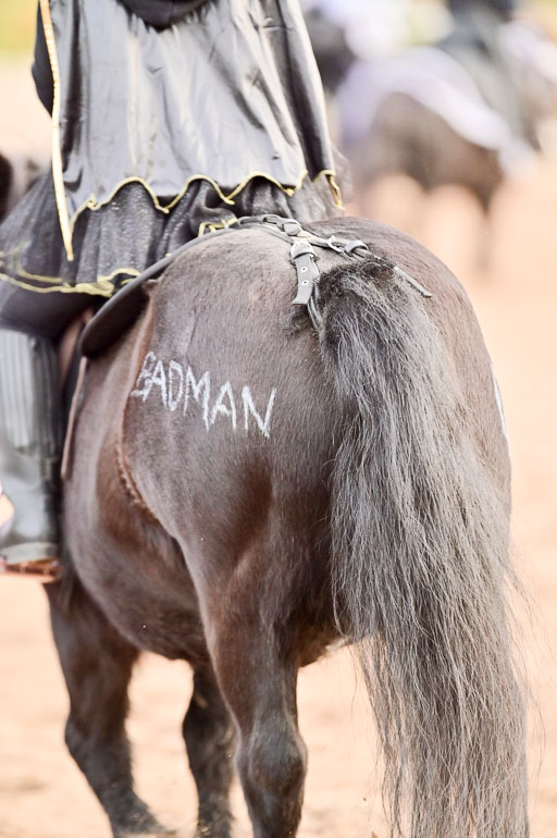  | Führzügel WB _185 